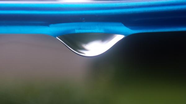 Freshly Showered Clothes Line