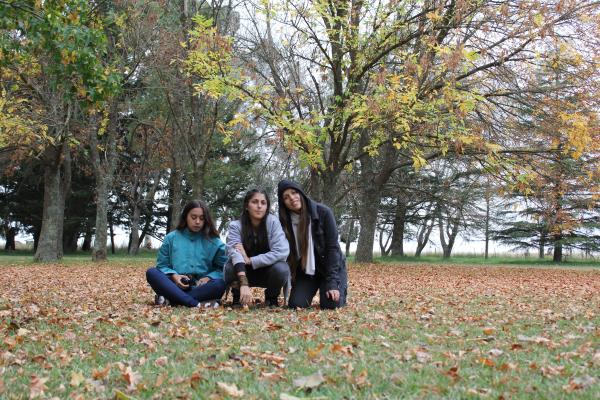 Friends in the park