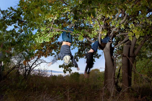 Friends On Tree