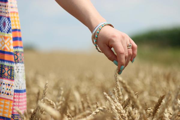 From Field to Flour