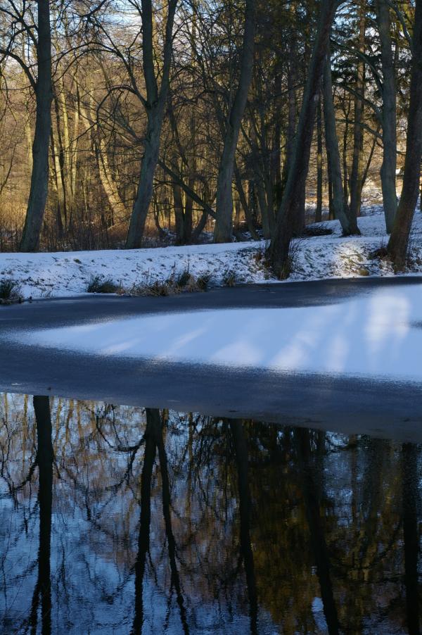Frost