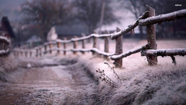 Frosty fence