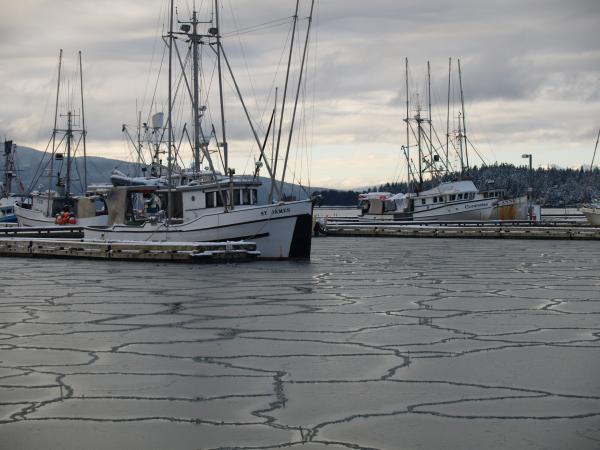 Frozen harbor
