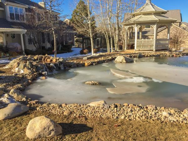 Frozen pond