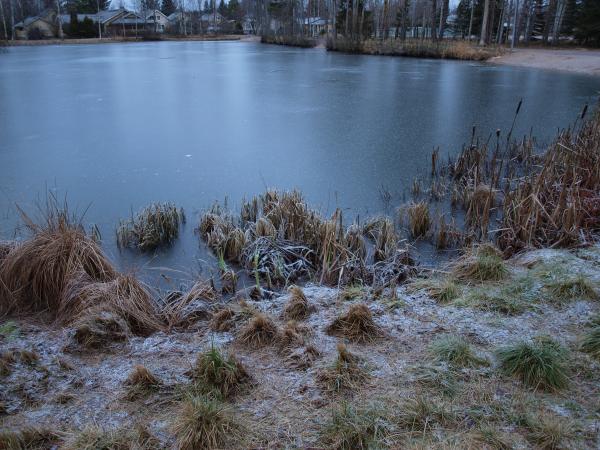 Frozen pond