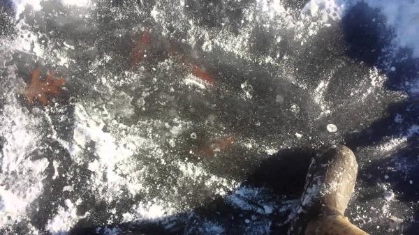 Frozen pond