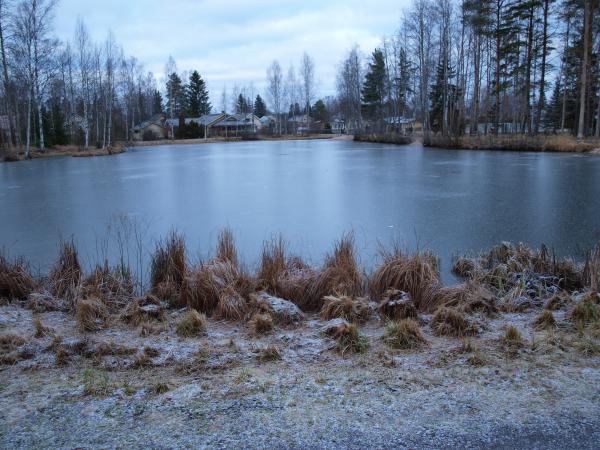 Frozen pond