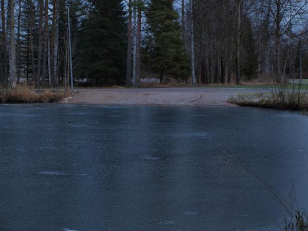 Frozen pond