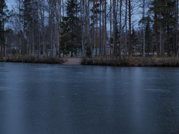 Frozen pond