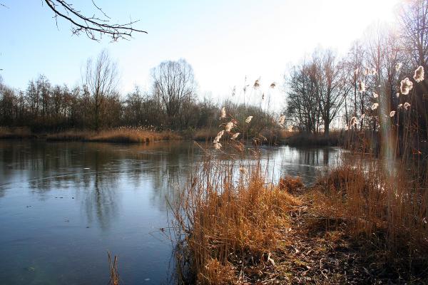 Frozen pond