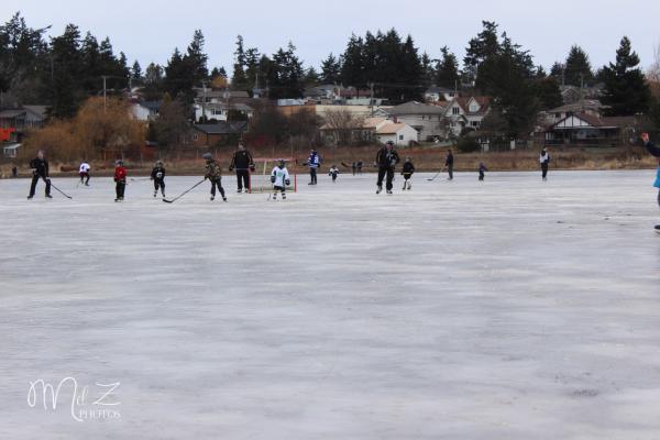 Frozen pond