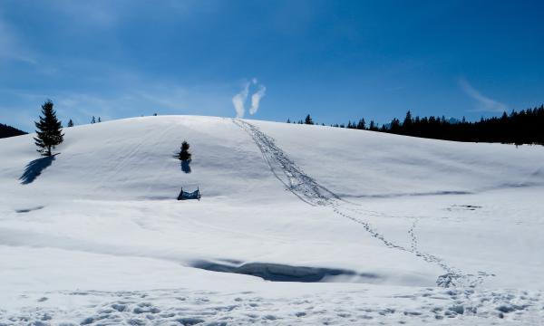 Frozen Route