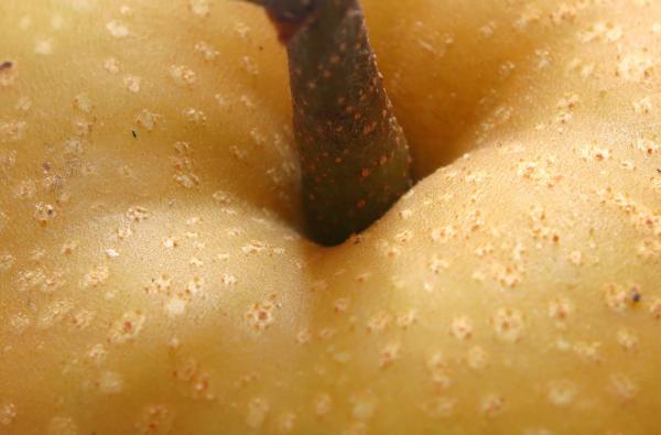 Fruit closeup