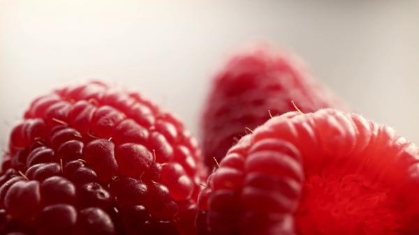 Fruit Closeup
