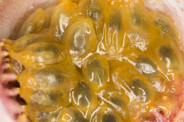 Fruit Closeup