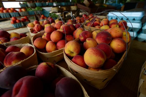 Fruit Stall
