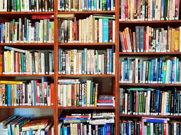 Full bookcase with colourful books