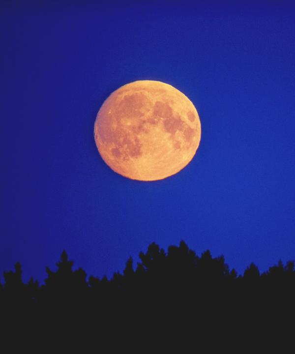 Full Moon