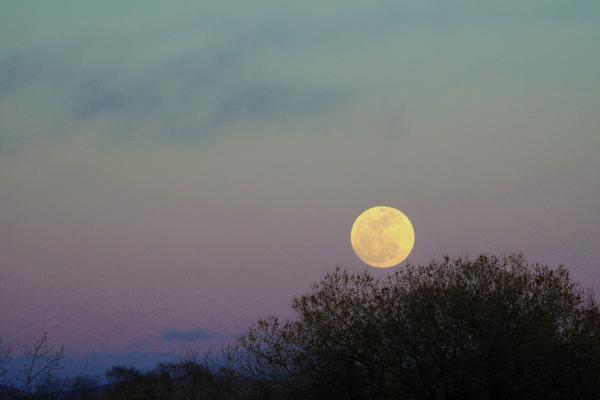 Full Moon Rising