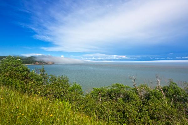 Fundy Park Scenery - HDR