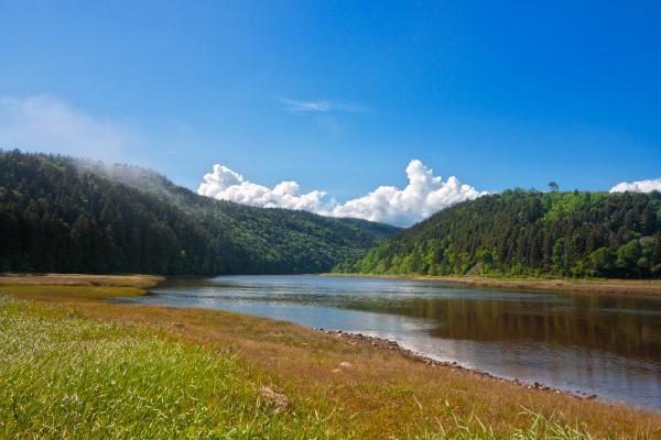 Fundy Park Scenery - HDR
