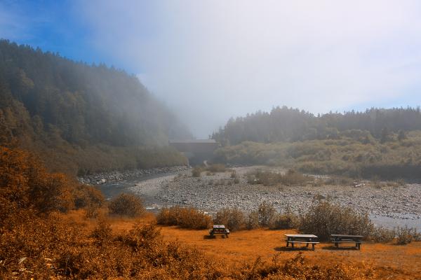 Fundy Park Scenery - Orange HDR