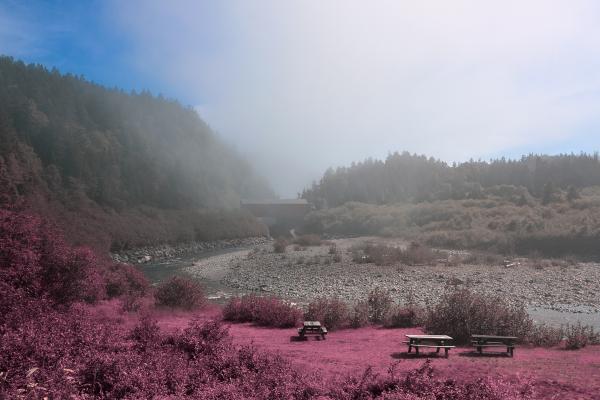 Fundy Park Scenery - Pink HDR