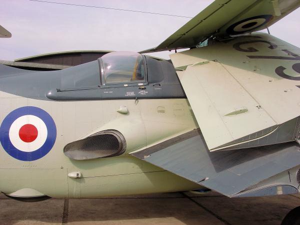 Gannet