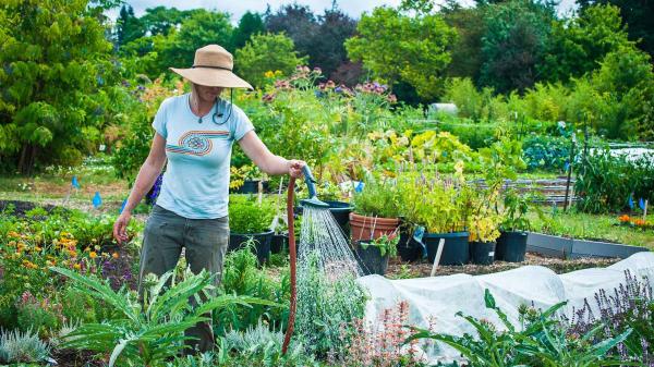 Gardening