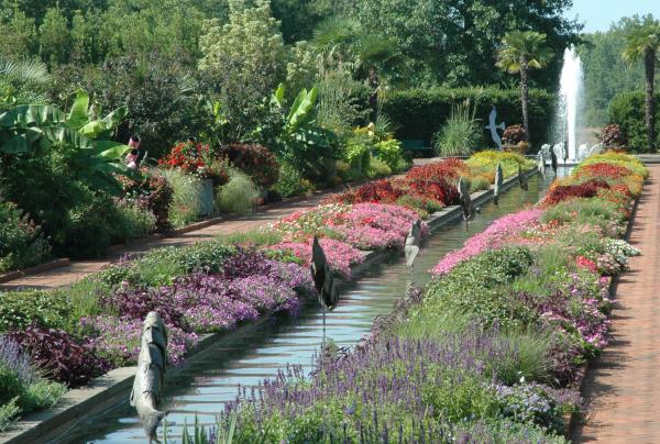 The Garden