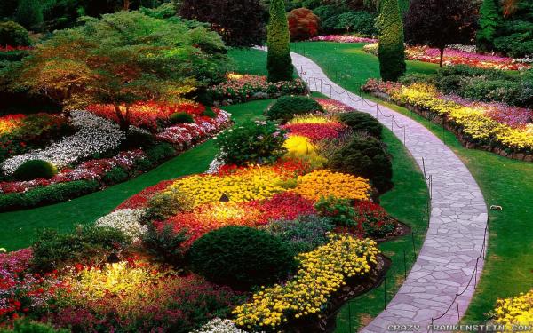 Garden Flowers