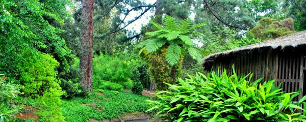 Garden Hut