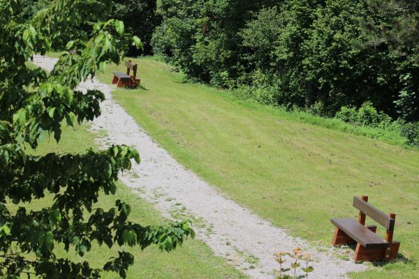 Garden Path with Benches