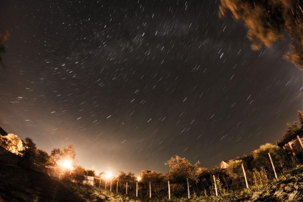 Garden under stars