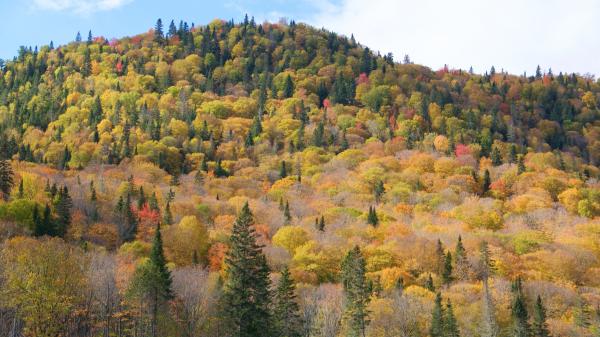 Gaspé National Parc