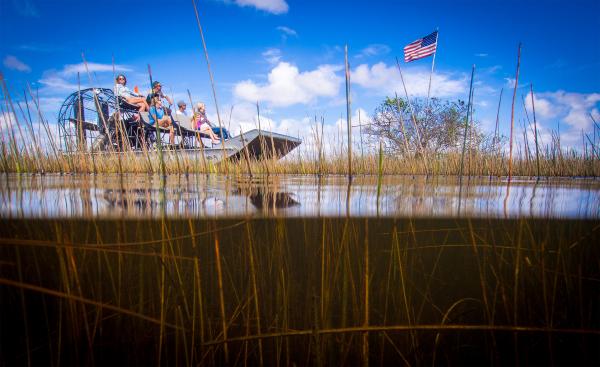 Gator Park