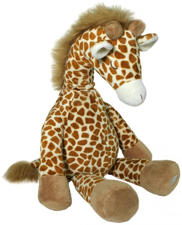 Gentle Giraffe