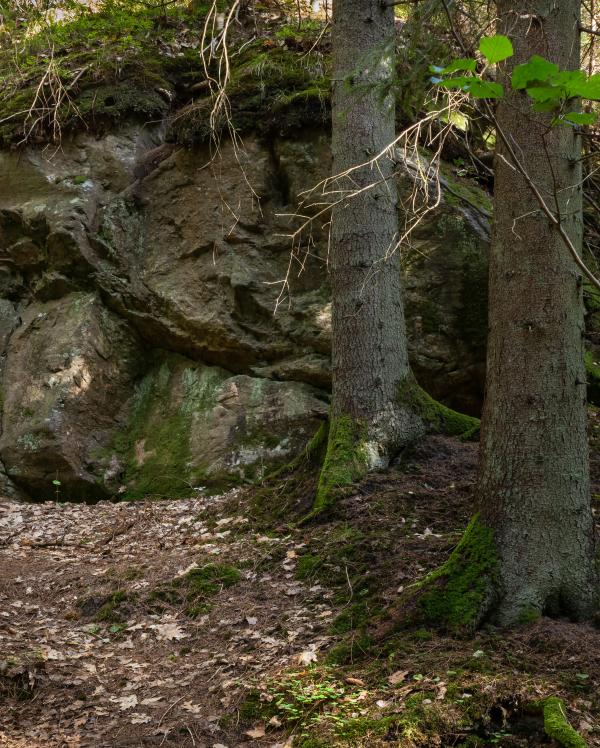 Giant boulder in Gullmarsskogen ravine