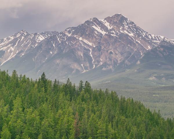 Giant Mountain