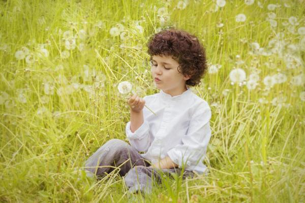 Girl Wearing White Long Sleeve Top Holding White Dandelion Flower during Daytime
