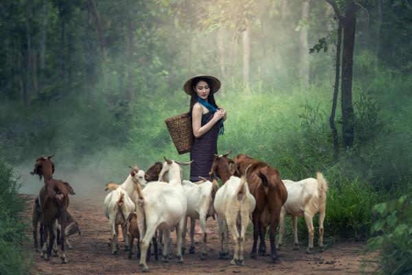 Girl with the Goats
