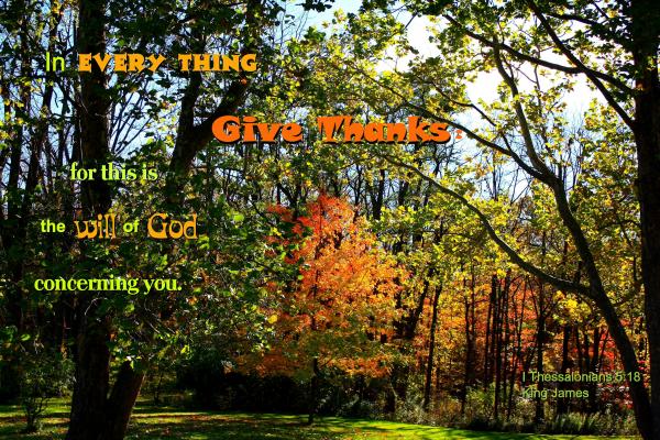Give Thanks in Everything