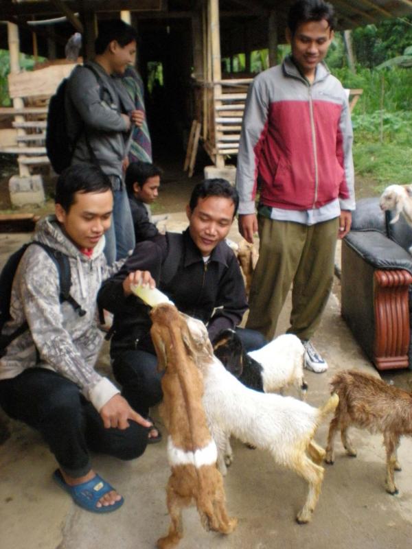 Giving Milk to Goat