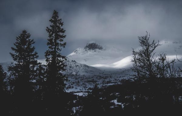 Glacier Mountains Near the Forest