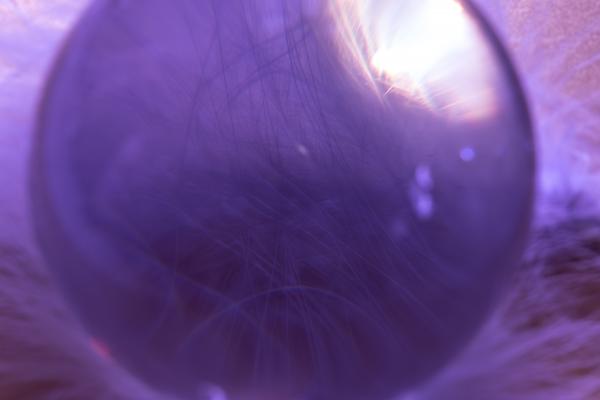 Glass Ball n Feathers