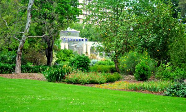 Glass House from a distance