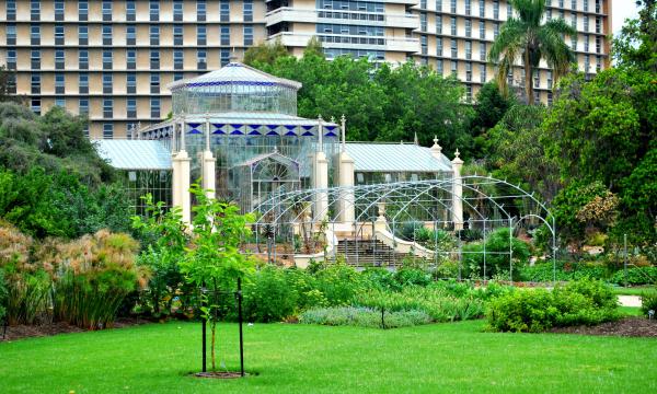 Glass House