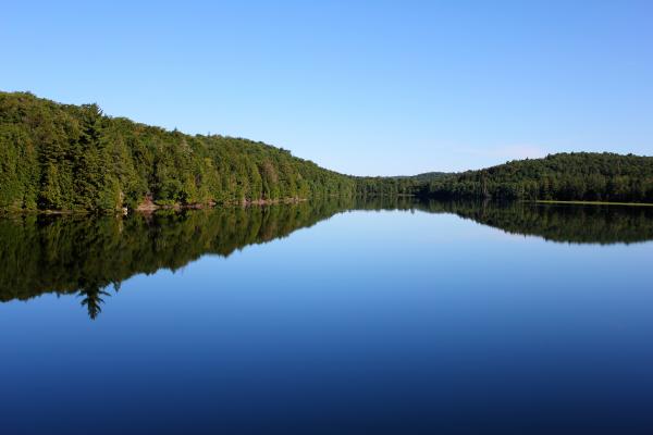 Glass lake