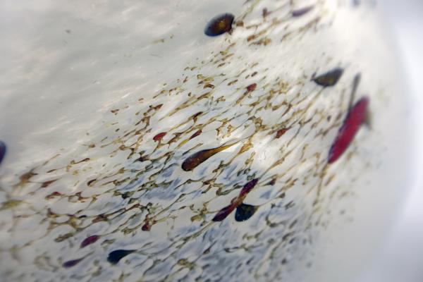Glass texture