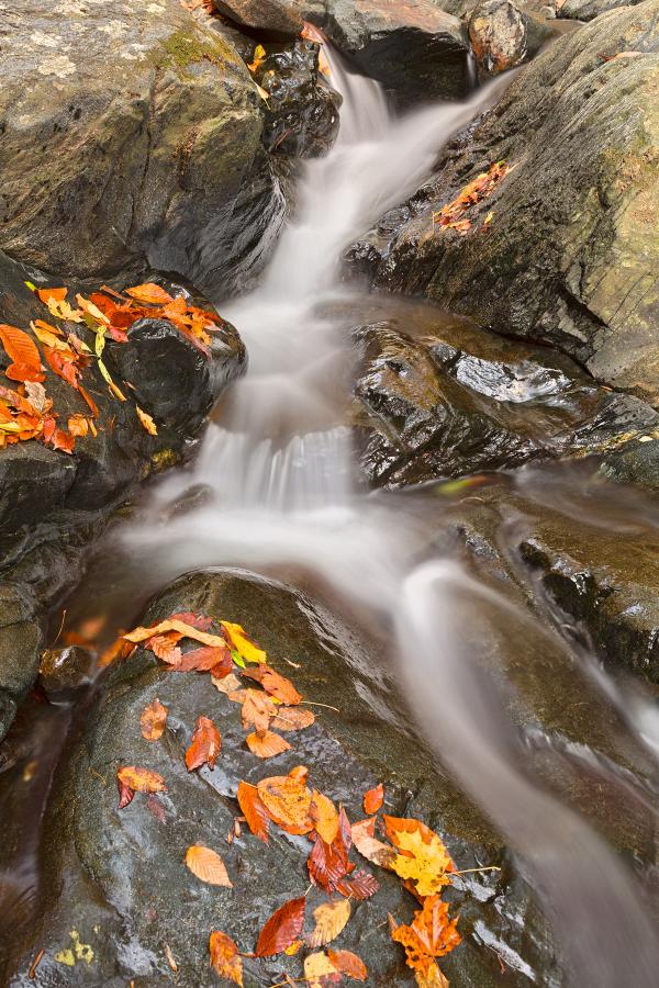 Glen Artney Stream - HDR